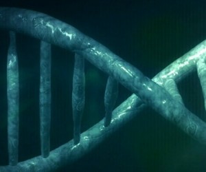 Les clés d'un processus majeur de réparation de l'ADN