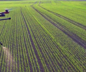 Les drones vont-ils révolutionner l’agriculture ?