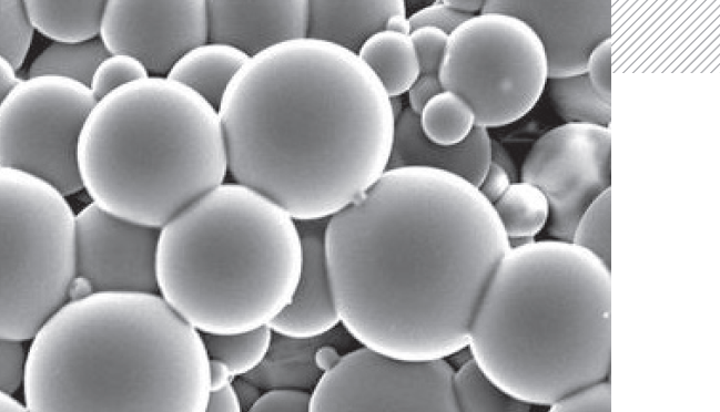 Microencapsulation de bactéries probiotiques