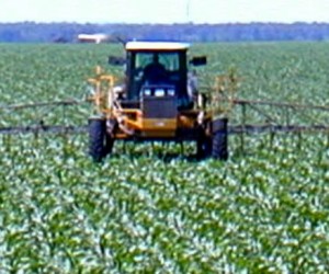Monsanto connait la toxicité du glyphosate depuis 1999