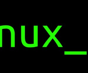 Linux : un maillon essentiel pour l’informatique mondiale