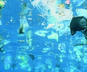 Plus de 8 millions de tonnes de plastiques déversées dans les océans