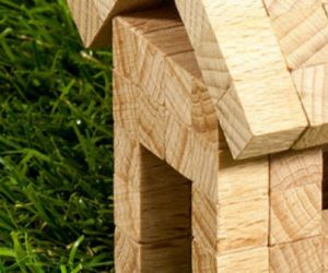 La nanostructure du bois vivant enfin révélée : vers des superstructures en bois ?