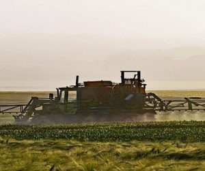 Deux startups innovent pour une agriculture durable et sans produit phytosanitaire