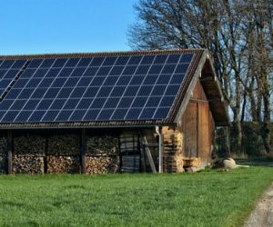 Le photovoltaïque s’invite dans le monde agricole