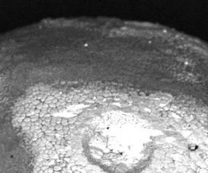 Espace : « Les micrométéorites ne sont pas de la poussière de météorite »