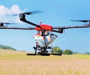 Les drones au service de l’agriculture durable
