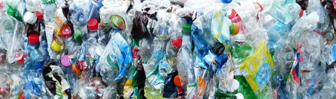 Une alternative aux emballages plastiques grâce au mariage de la cellulose et de la céramique | Techniques de l'Ingénieur