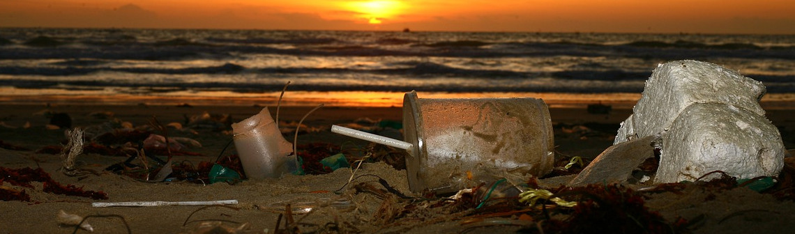 Les satellites pour détecter les déchets plastiques sur Terre | Techniques de l'Ingénieur