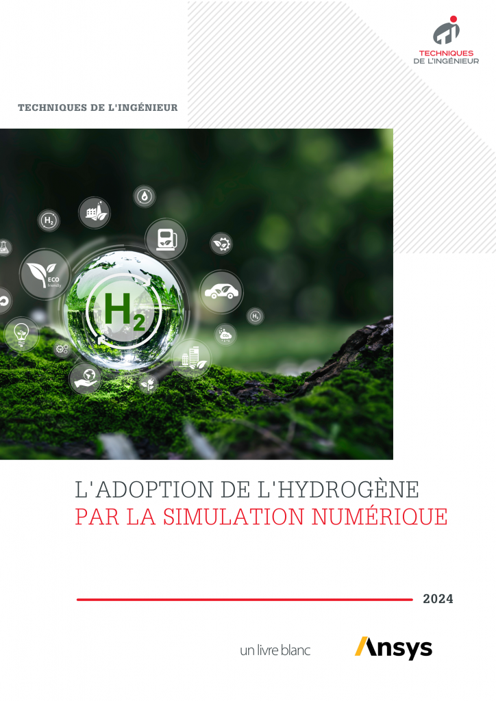 “Adoption of hydrogen through digital simulation” – White paper