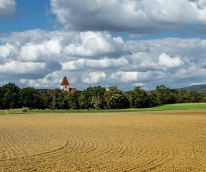 Décarboner l'UE nécessiterait 2,2% des terres, selon une étude