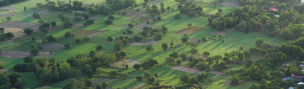 Des prédictions micro-météorologiques à l'échelle de la parcelle agricole