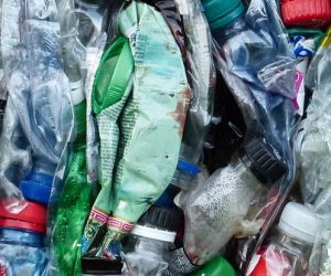 La France, mauvaise élève de l'Europe dans la gestion des déchets plastiques