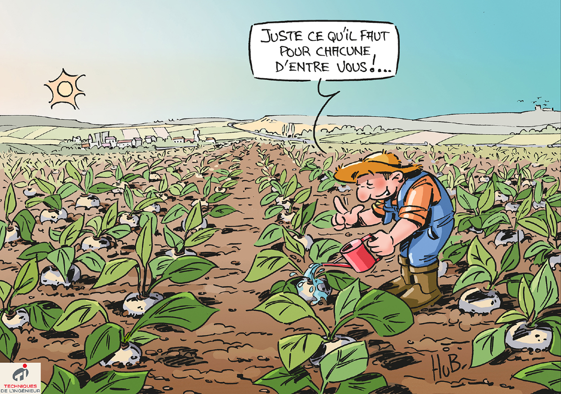 Dessin Secteurs agricole et textile : comment faire plus avec moins d’eau