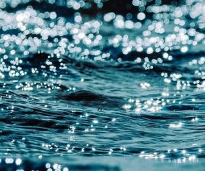 Gérer l’eau pour mieux la préserver, un enjeu majeur pour une ressource de moins en moins durable