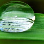 « Il faut revenir sur les hypothèses de travail retenues pour évaluer la consommation d’eau du secteur agricole »