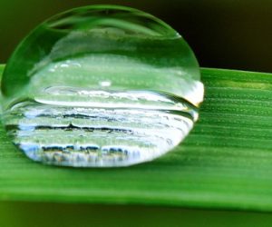 « Il faut revenir sur les hypothèses de travail retenues pour évaluer la consommation d’eau du secteur agricole »