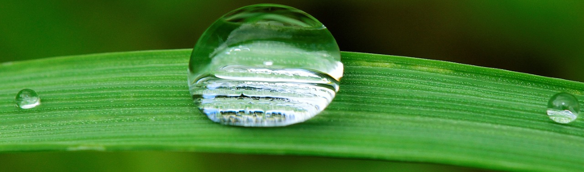 « Il faut revenir sur les hypothèses de travail retenues pour évaluer la consommation d’eau du secteur agricole »