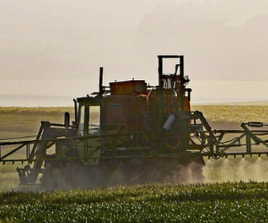 Agriculture: le Conseil d'Etat saisi sur l'exportation de pesticides interdits