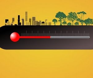 COP29 : vers une douche froide sur les financements ?