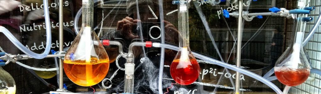 Vers une révision du règlement REACH sur les substances chimiques en 2025