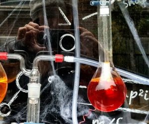 Vers une révision du règlement REACH sur les substances chimiques en 2025