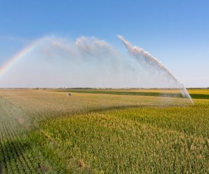 Raréfaction de l’eau l’été : évolution des pratiques et innovations en irrigation agricole