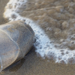 Aucun accord trouvé pour un traité international contre la pollution plastique