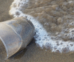 Aucun accord trouvé pour un traité international contre la pollution plastique