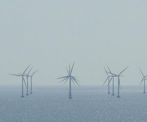 Éolien en mer : la filière française alerte face aux vents contraires qui soufflent sur le secteur