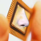 Nanobiosenseurs, les nez électroniques de dernière génération
