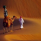 Google Street View s'invite sur un chameau