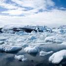 Pas de forage en Arctique en 2013 pour Shell