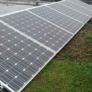 Associer photovoltaïque et végétalisation sur les toitures ?