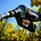 Les biocarburants font-ils monter les prix des matières premières ?