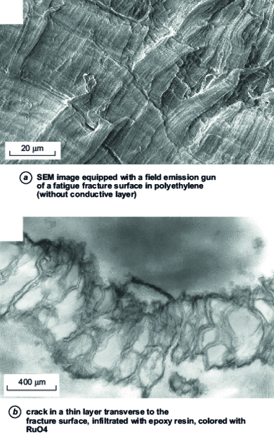 Observations of deformations in polyethylene