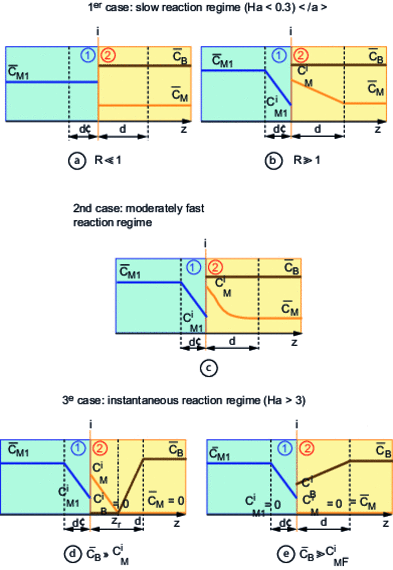 Concentration profiles in the two phases according to transfer direction in the different transfer-chemical reaction regimes