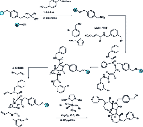 Supported total synthesis