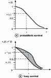 Figure 7 - Survival curves