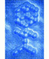 Figure 7 - A man made of CO molecules (photo JBM Corporation, Research Division, Almaden Research Center)