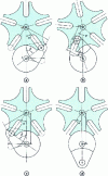 Figure 69 - 5-groove Maltese cross system