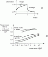 Figure 20 - Relative coverage and reduced time