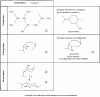 Figure 36 - Different levels of body presentation in organic chemistry