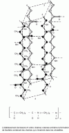 Figure 40 - Schematic representation of polyamide 6-6 chains