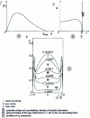 Figure 15 - Bubble diameters and distribution in a pipe configuration (for (c), see [24])