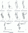 Figure 3 - Compensators and systems