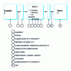 Figure 19 - Local functional analysis