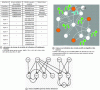 Figure 9 - Arabidopsis thaliana flowering control network attractors in sequential and parallel update modes