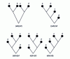 Figure 15 - Binary trees for "good parentheses