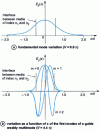 Figure 3 - First modes of a weakly multimode guide (from [1])